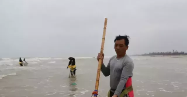 Mùa ốc ruốc ngắn ngủi, ngư dân tranh thủ 'hái lộc biển' kiếm tiền triệu mỗi ngày