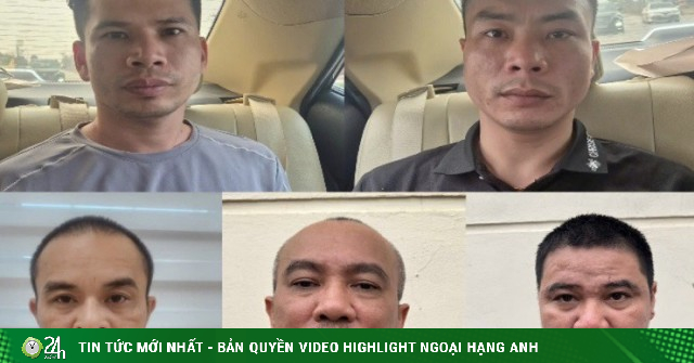 Bắt ổ nhóm trộm hơn 300 con mèo ở Hà Nội