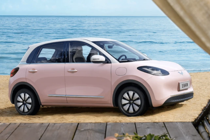 Wuling Bingo