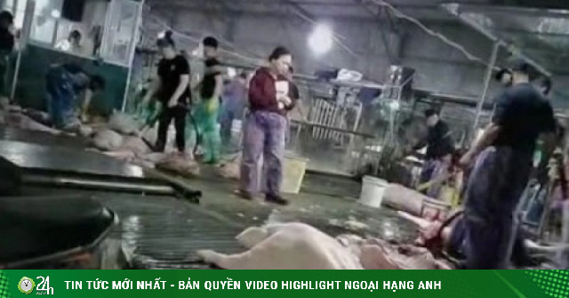 Nhức nhối thực phẩm bẩn: Biết rồi, khổ lắm, nói mãi