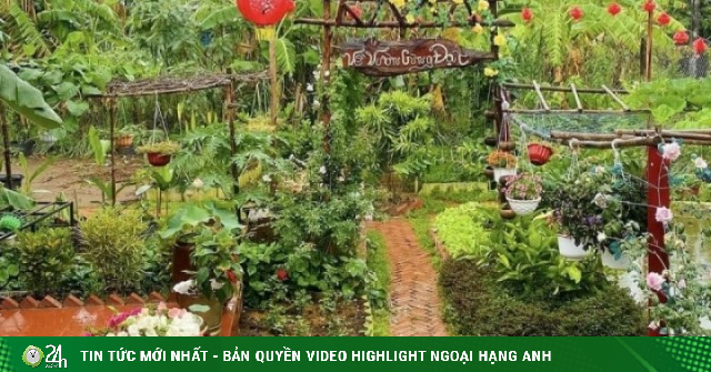 Chàng trai Vĩnh Long chi hơn 100 triệu biến đất hoang thành khu vườn 4 mùa xanh mát