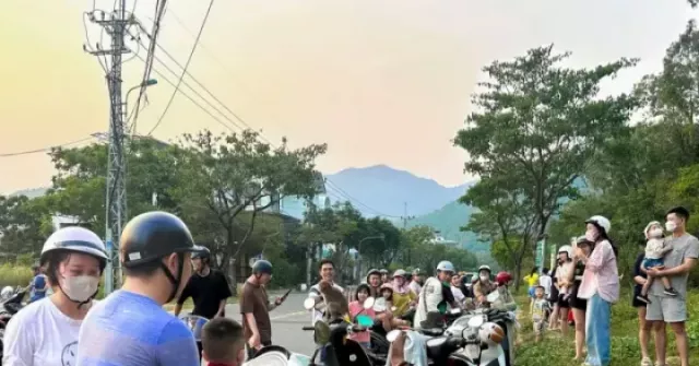 Du khách 'làm hư' đàn khỉ ở bán đảo Sơn Trà