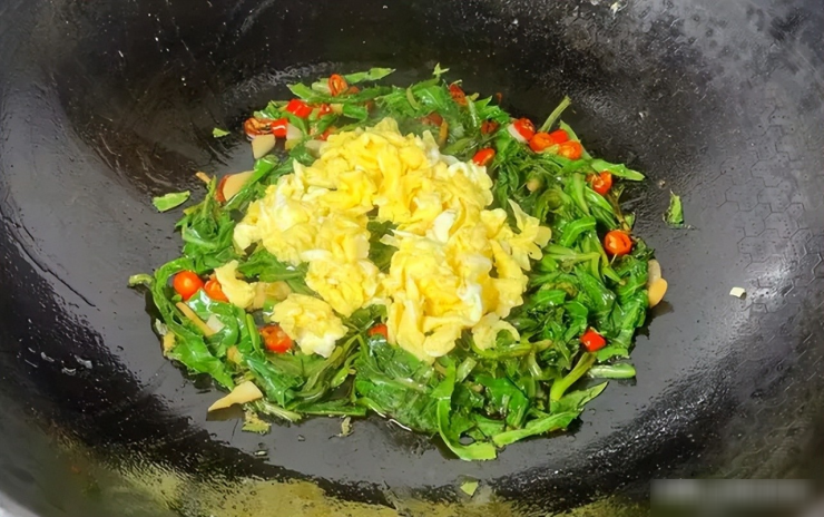 Loại rau dại báu vật nên ăn trong tháng 4, ngon hơn rau sam, bổ hơn bồ công anh, giúp bản vệ gan, xào trứng cực thơm - 6