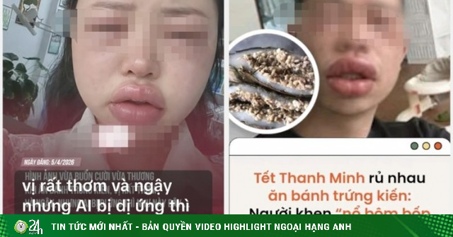 Bánh trứng kiến là gì mà "rần rần" cõi mạng: Kẻ bán, người ăn tới sưng mặt