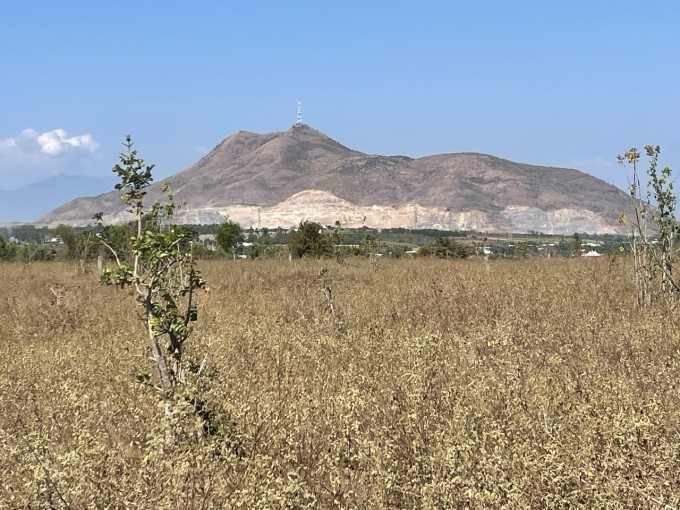 Việt Quốc