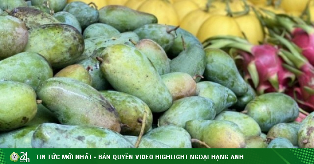 Một loại xoài Việt đang bán đầy chợ giá chỉ hơn chục nghìn đồng/kg, tiểu thương tiêu thụ hàng tạ mỗi ngày ai nhìn cũng muốn mua