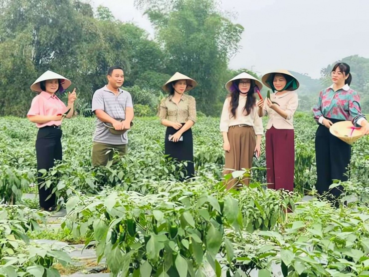 HND xã Hợp Thành