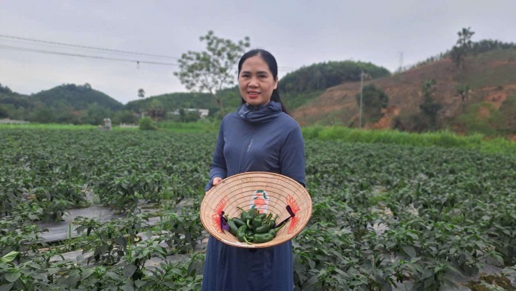 Hà Thanh