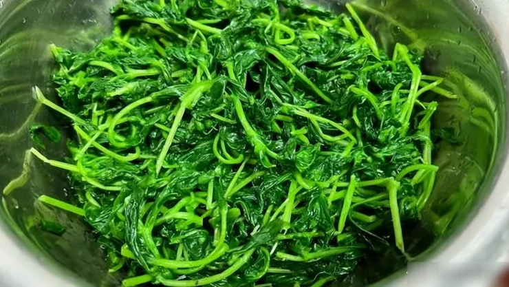 Loại rau dại được mệnh danh là cỏ làm sạch ruột, thanh nhiệt, giải độc, trộn tỏi giòn ngọt, ngon miệng - 7