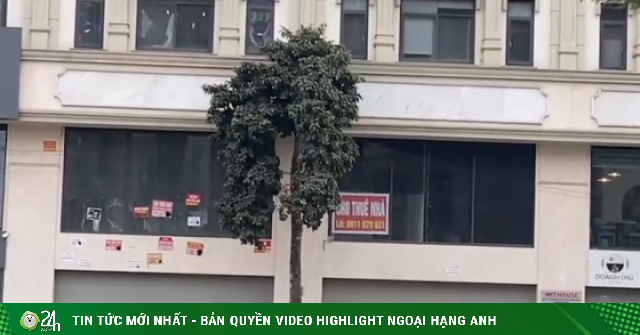 Hà Nội: Nhà mặt phố tại phường Dương Nội rao bán rầm rộ tháng 4/2026