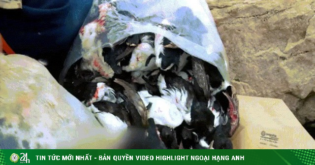 Món ăn 'thách thức' nhất thế giới được làm như thế nào?