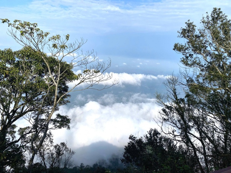 Nguyễn Thị Thảo Hương