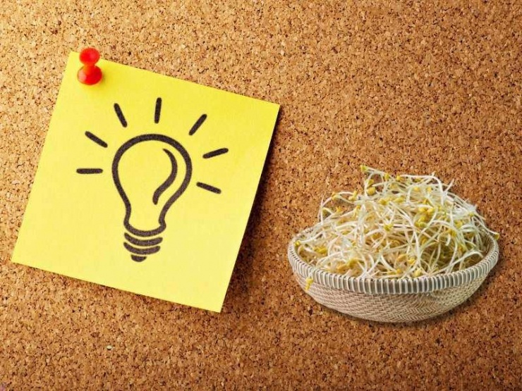 Loại rau rẻ bèo bổ xương lại tốt cho tim mạch, chế biến thành nhiều món ngon - 1