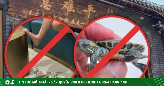 Quán cà phê càng nhiều quy định cấm, càng khiến thực khách thích thú