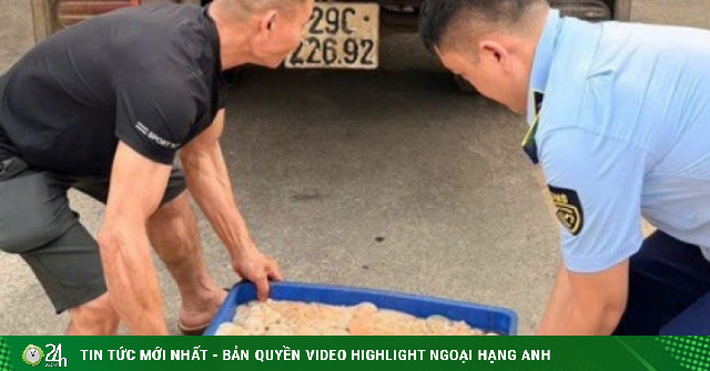 Phát hiện hơn nửa tấn lòng lợn bốc mùi hôi thối đang trên đường tiêu thụ