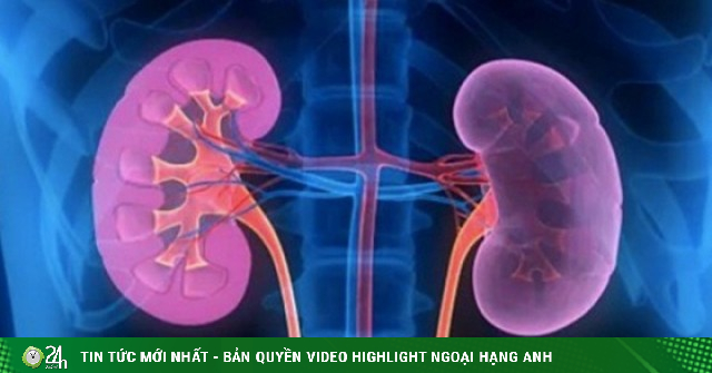 Nắng nóng, 6 việc người Việt nên làm để phòng ngừa nguy cơ suy thận và bệnh lý đường tiết niệu
