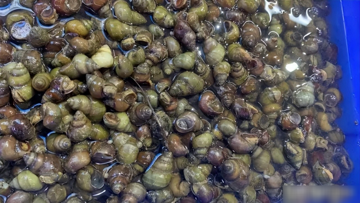 Lượng vitamin B12 trong loại thịt này cũng có hàm lượng cao