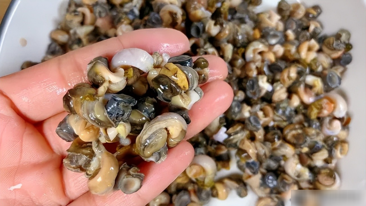 Loại thịt dân dã, giá rẻ, giàu dinh dưỡng, tốt xương, bổ máu, ăn nhiều không lo tăng cân, xào cay cực thơm - 4