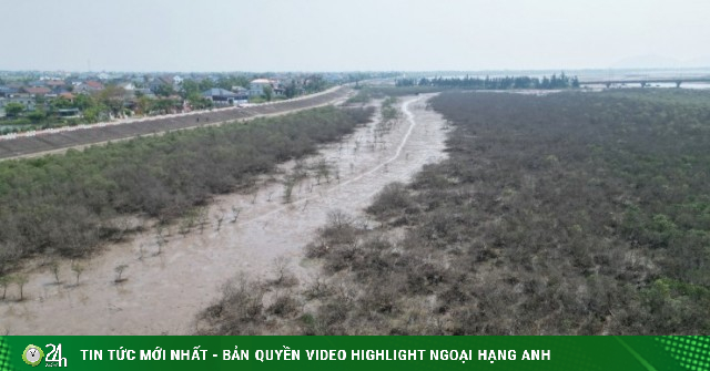 Cảnh tượng bất thường ven biển Hà Tĩnh, chưa tìm ra nguyên nhân