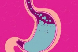 Tin tức sức khỏe - Trào ngược dạ dày nguy hiểm ra sao nếu không hiểu rõ nguyên nhân và xử lý nhanh chóng?