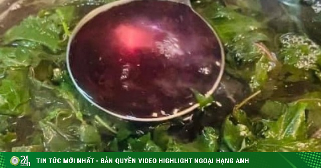 Loại rau được ví “lá hồi sinh” chỉ 1–2k/mớ cực nhiều ở nước ta, ngày hè đem làm nước giải nhiệt cực tốt