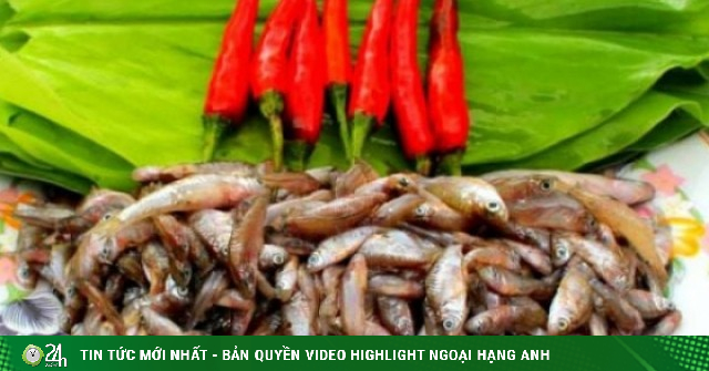 Loại cá "nhà nghèo" nhỏ bằng đầu đũa, xưa ra đồng bắt về ăn, giá rẻ bèo, nay thành đặc sản ngon và hiếm 400.000 đồng/kg