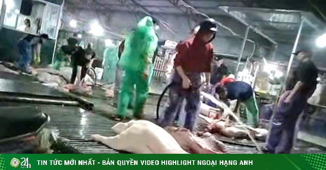 Hà Nội dự kiến lắp 100 camera AI tại lò mổ, chợ để kiểm tra an toàn thực phẩm