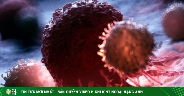 Y học thế giới tìm ra cách biến tế bào T thành 'siêu chiến binh' diệt ung thư