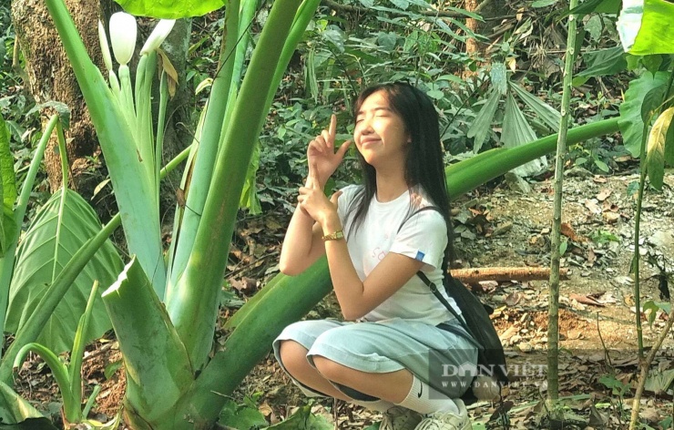 Vũ Thượng