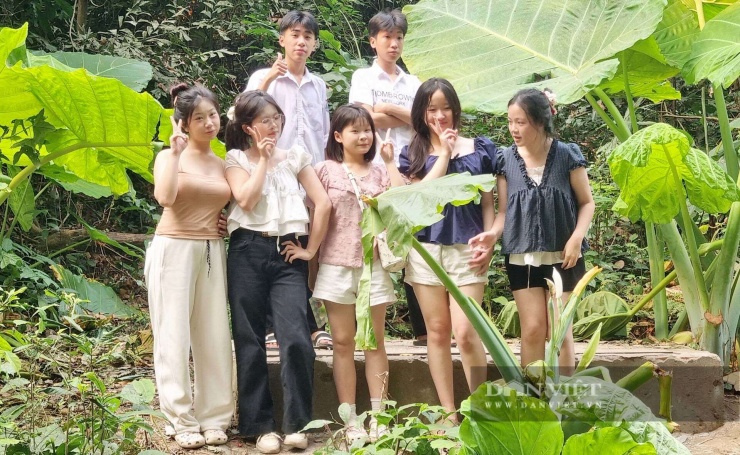 Vũ Thượng