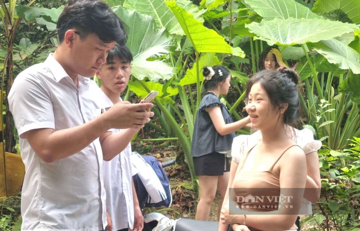 Vũ Thượng