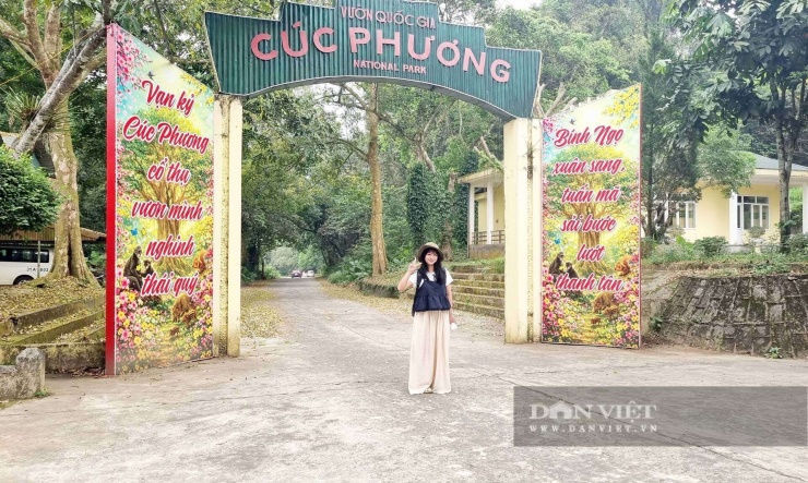 Vũ Thượng