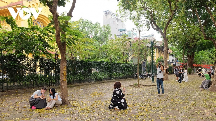 Người yêu Hà Nội và những người thích chụp ảnh không thể bỏ lỡ những khoảnh khắc đẹp trong mùa lá rụng.