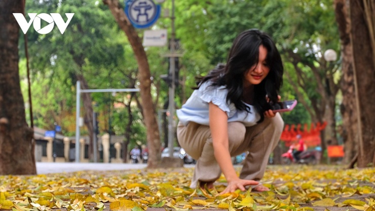 Các bạn trẻ nhặt lá vàng làm "đạo cụ" chụp ảnh, nhưng cũng có đôi khi chỉ là muốn nâng niu chiếc lá trên tay.