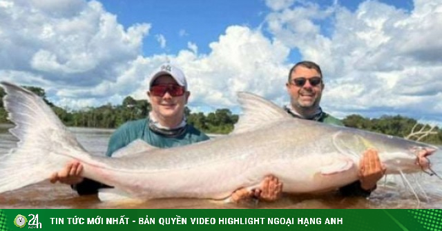 Video: Hai anh em câu được "thuỷ quái" khổng lồ nặng 100kg, dài 2 mét