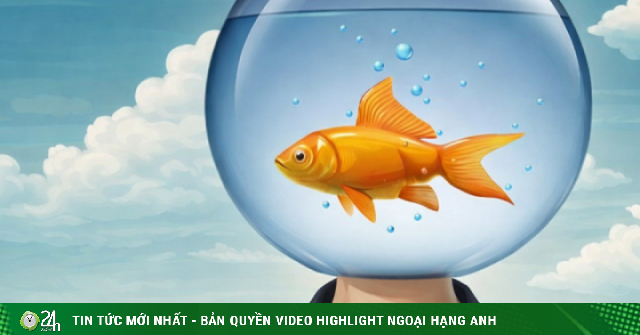 Vì sao nhiều phụ nữ ngoài 40 bỗng mắc 'não cá vàng'?