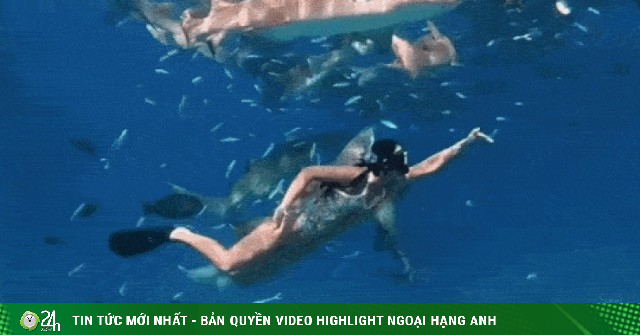 Ánh Viên bơi cùng cá mập ở biển Maldives