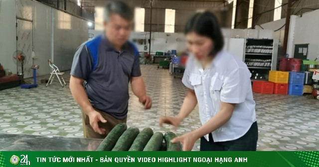 Tiết lộ khoản 'hoa hồng' cho hiệu trưởng để tuồn thịt lợn bệnh vào trường học