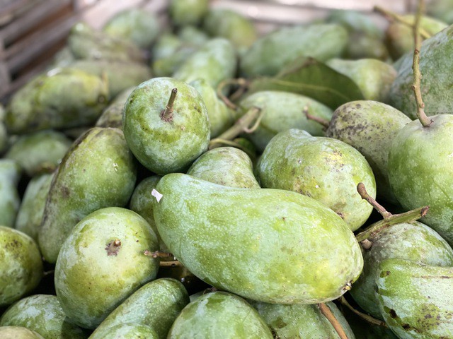 Xoài hạt lép là một trong những loại xoài đắt hàng vì phần thịt quả nhiều, giòn, không quá chua khi xanh và ngọt thơm, đậm vị khu chín.