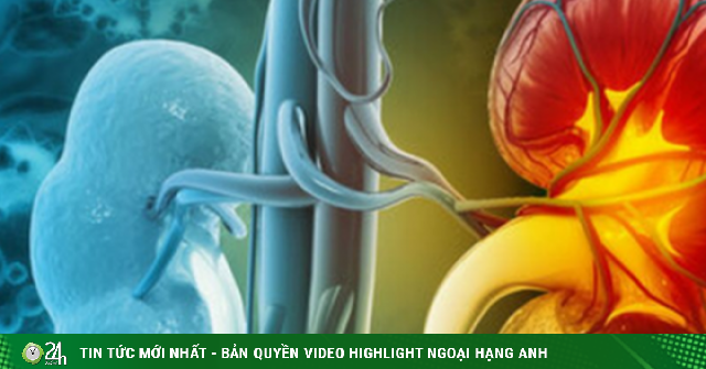 Dấu hiệu cảnh báo suy thận: Đi bộ thấy biểu hiện này cần đặc biệt lưu ý