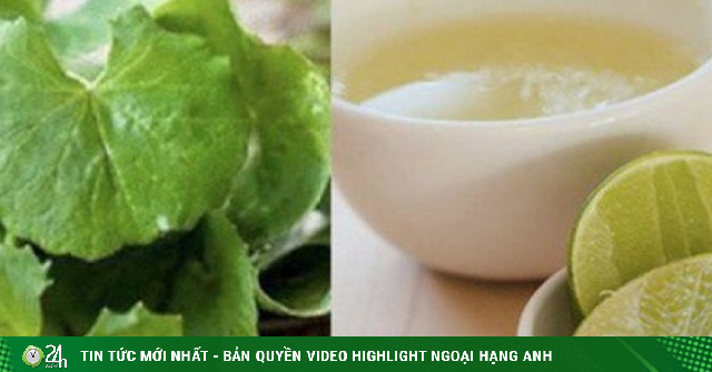 Mẹo chữa nám da từ rau má