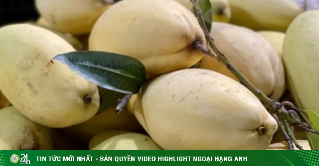 Một loại quả Việt bán đầy chợ giá rẻ bèo, xuất khẩu sang nước ngoài bán đắt như ‘vàng’