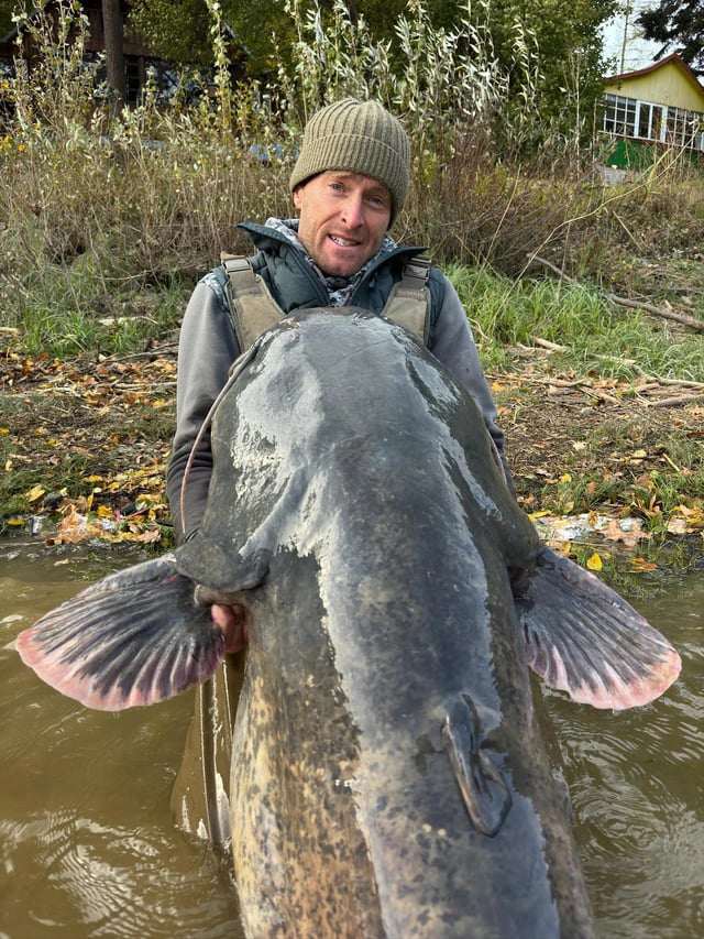 Ngư dân vật lộn với "quái ngư" cá trê khổng lồ dài 2,5 mét trên sông - 2