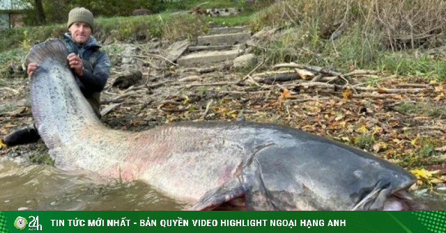 Clip: Ngư dân vật lộn với "quái ngư" cá trê khổng lồ dài 2,5 mét trên sông