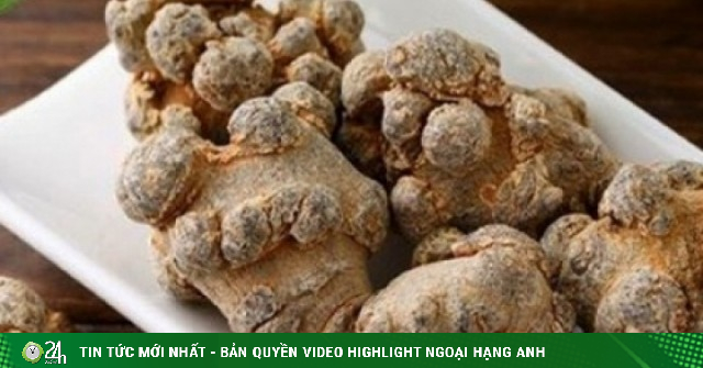 Loại củ "bảo bối" giúp dưỡng sinh và tăng cường tuổi thọ