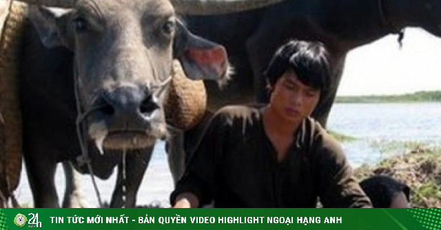 Đóng phim cùng… 300 con trâu, dàn sao Việt kể chuyện “dở khóc dở cười”