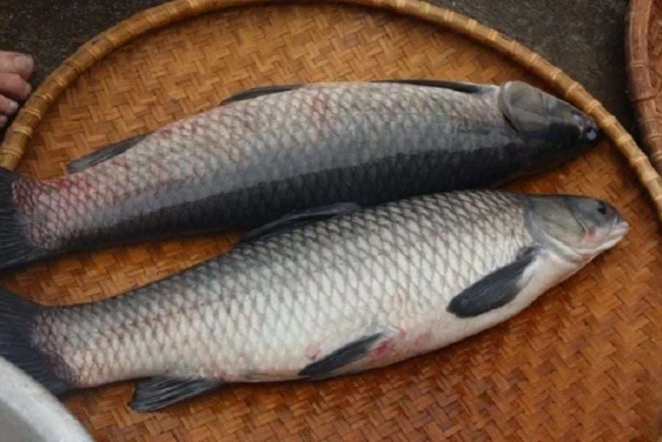 Hải sản Ông Giàu