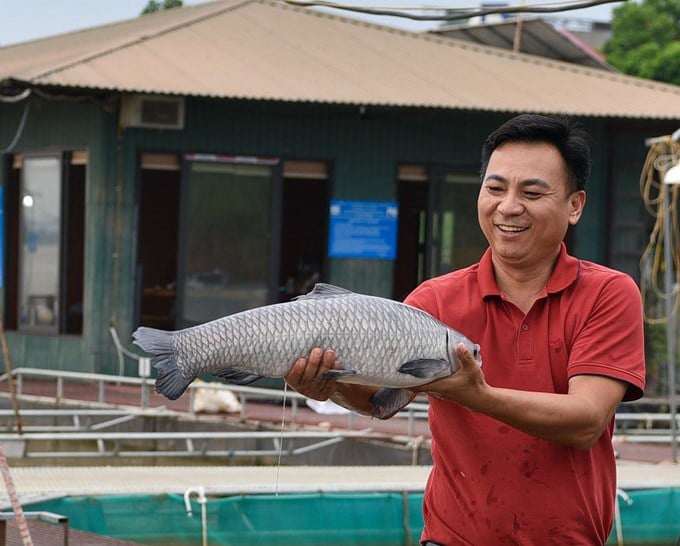 Dương Đình Tường.