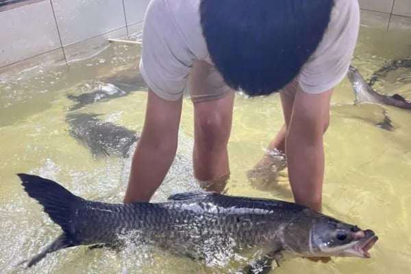 Hải sản ông Giàu