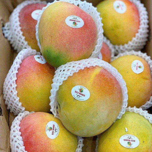 Giá xoài hiện đang bán tại thị trường tương đối rẻ, chỉ từ hơn chục nghìn đồng/kg (tùy loại và chất lượng).